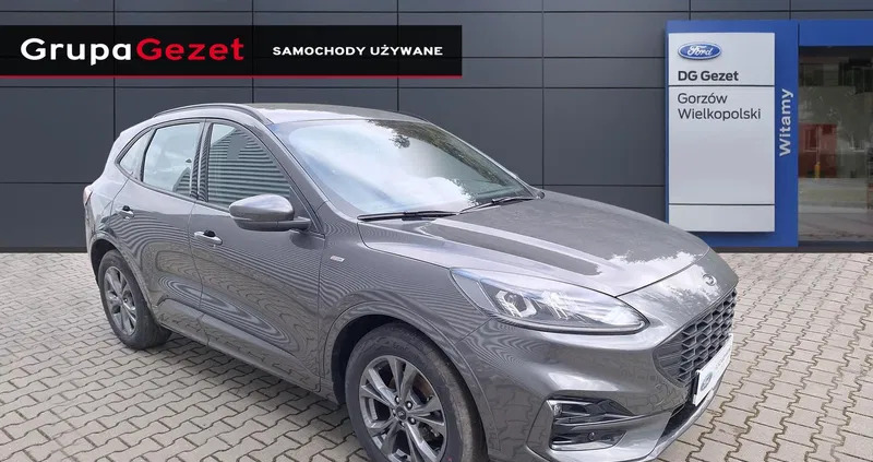 ford żerków Ford Kuga cena 121500 przebieg: 26000, rok produkcji 2022 z Żerków